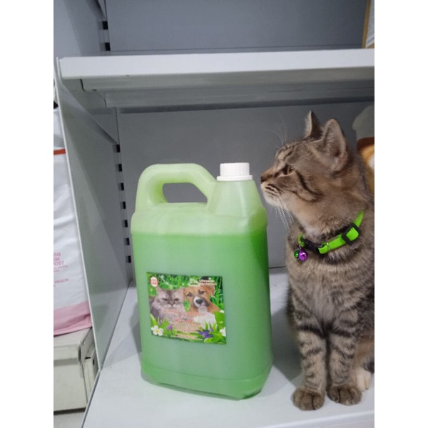 Gojek~ sampo groming hpj greantea 5liter sampo groming cat &amp; dog
