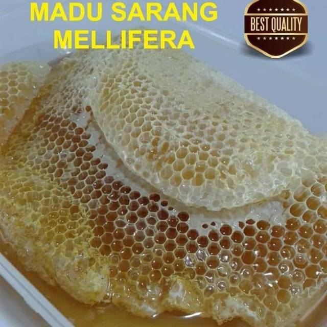 

PROMO DAHSYAT MADU SARANG LEBAH 250 GR