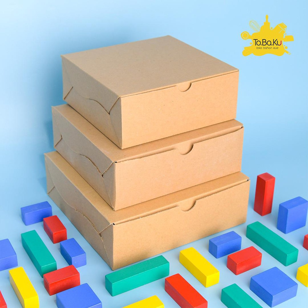 Kotak Nasi Polos 18 x 18 x 7cm