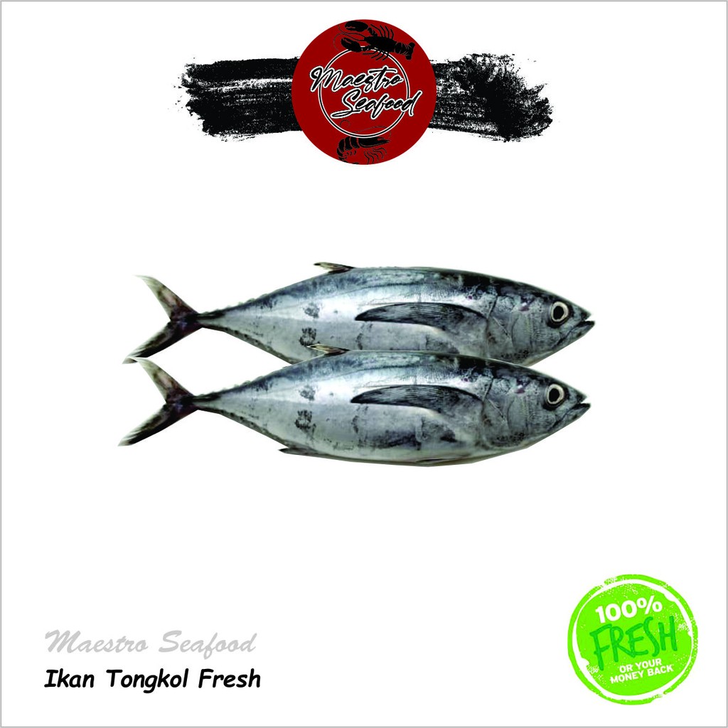 

Ikan Tongkol Deho Premium Fresh - 1.000 gr