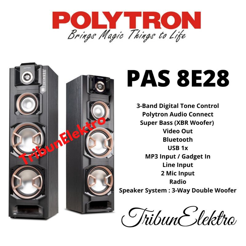 Speaker Polytron PAS 8E28