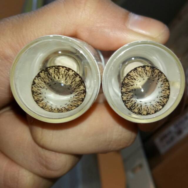 

PROMO SOFTLENS EOS CRAYON BROWN 150MM