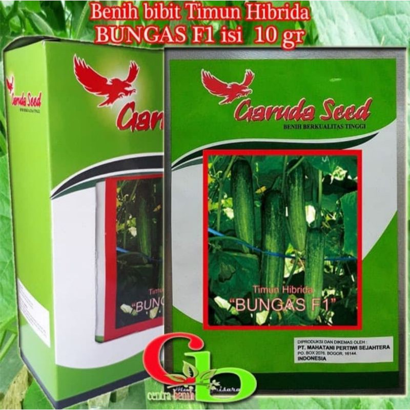 Benih Bibit Timun Hijau F1 10 gram ( sekitar 400 biji ) - bibit Timun/ketimun/mentimun