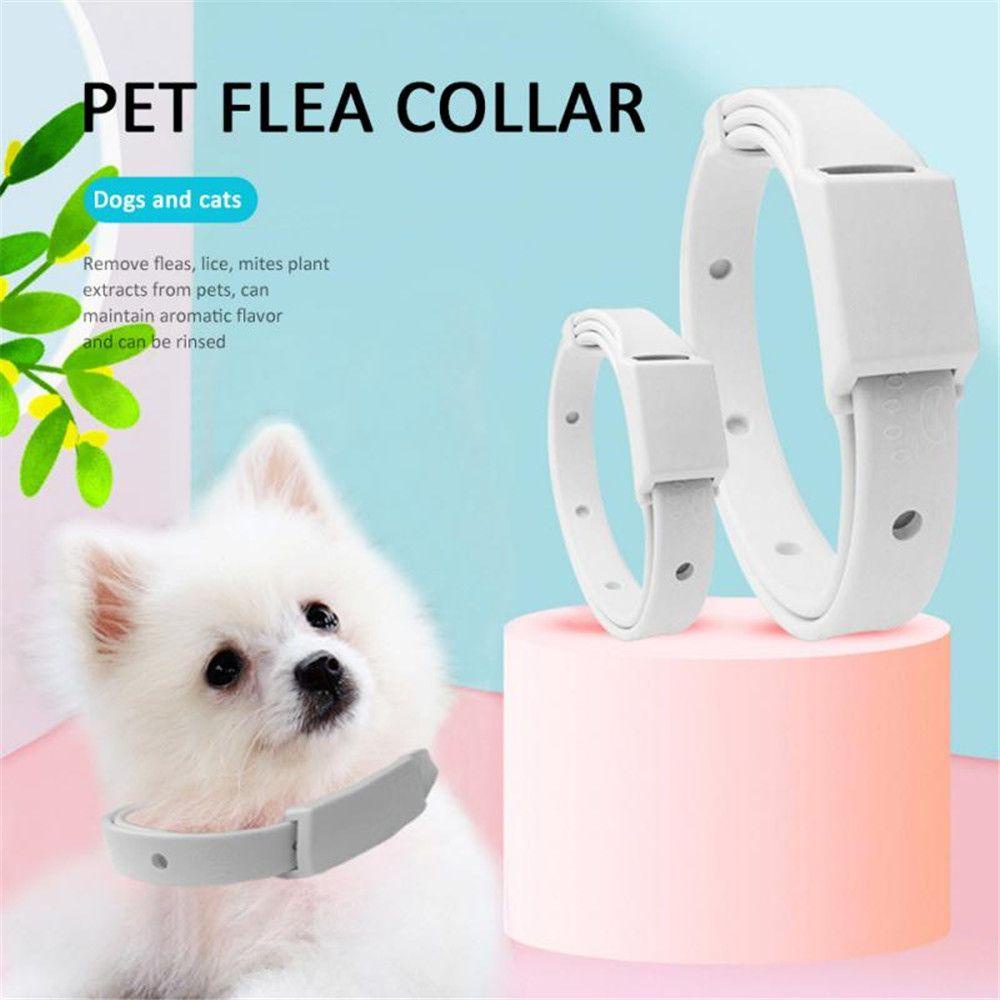 Solighter Pet Collar Grooming Tool Hot Flea Killer Cat Kitten Obat Anti Kutu Tungau Acari Kutu