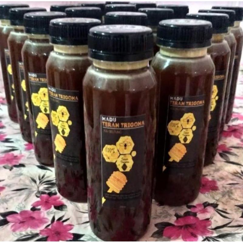 

Madu Trigona