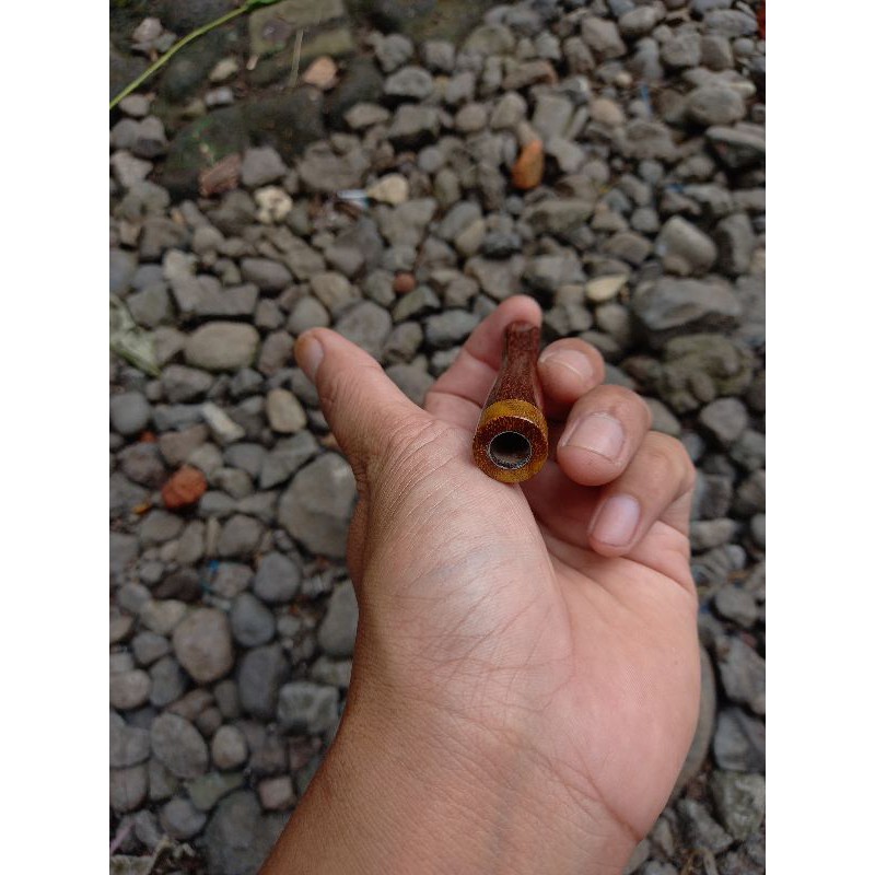 pipa galih asem kombinasi galih kelor emas 6-8 cm warna natural