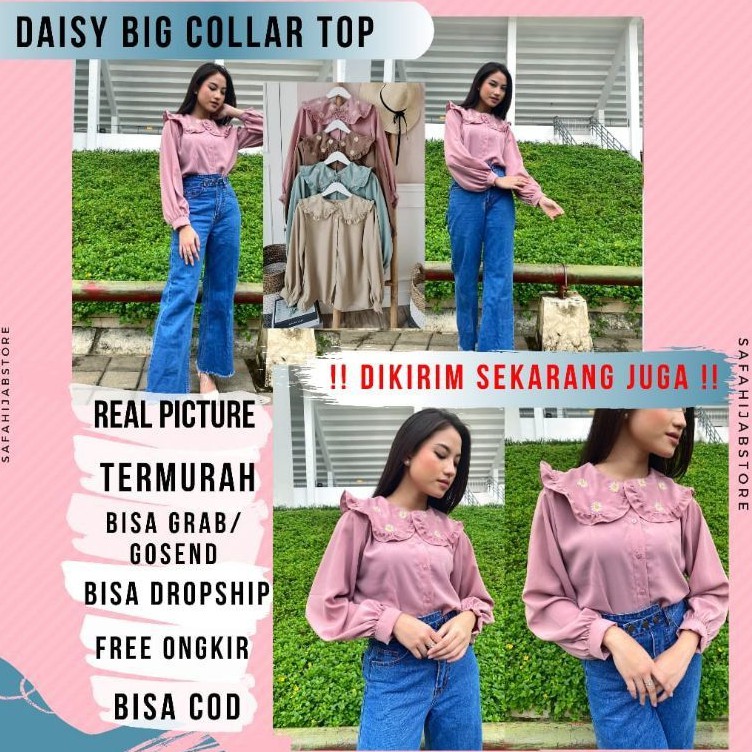 DAISY BIG COLLAR TOP