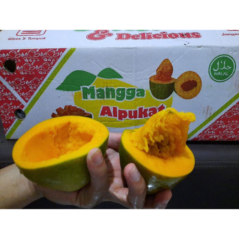 

Mangga Alpukat / Mangga Alpukat pasuruan / Mangga