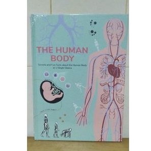 The Human Body: Secrets and Fun Facts about the Human Body at the Single Glance