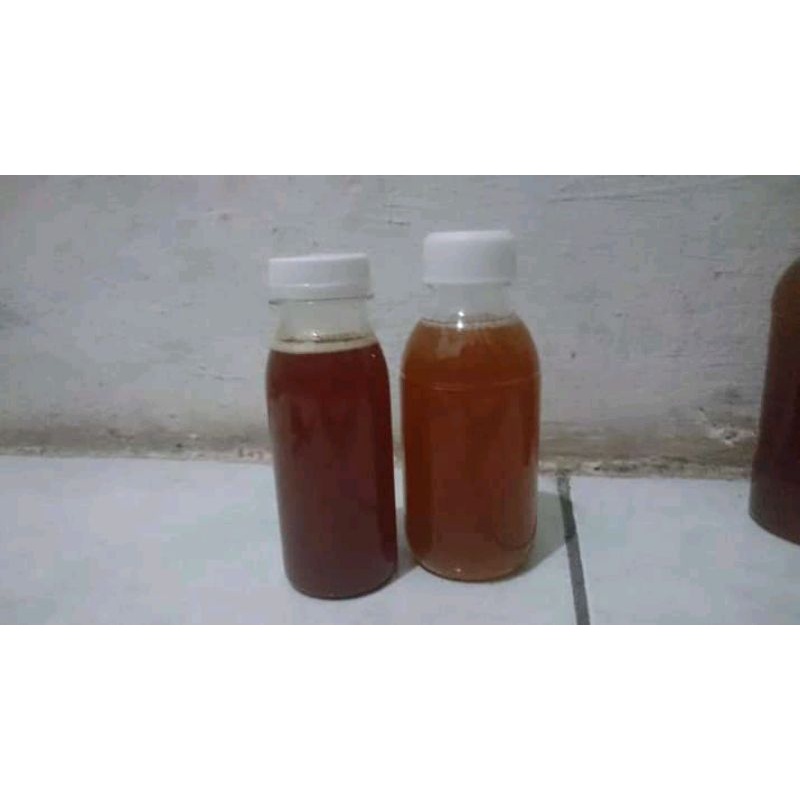 

madu hutan NTT 100 ml