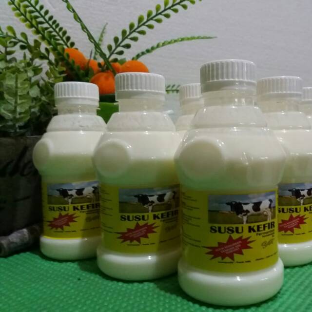 

SUSU KEFIR ( BUAT PENYEMBUHAN BERBAGAI PENYAKIT )