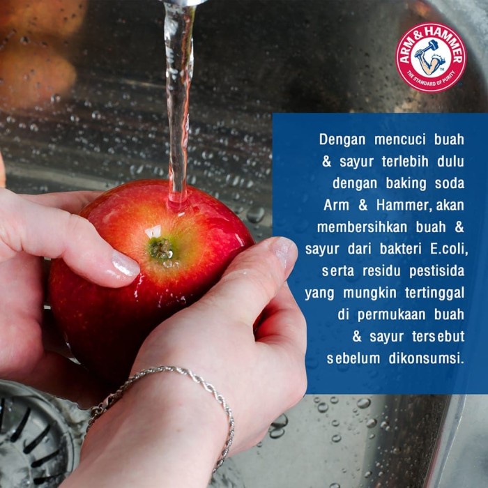 

Siap Kirim Arm And Hammer - Pure Baking Soda Shaker 340Gr