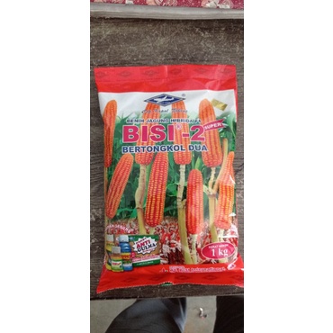 Benih jagung Bisi 2  1kg