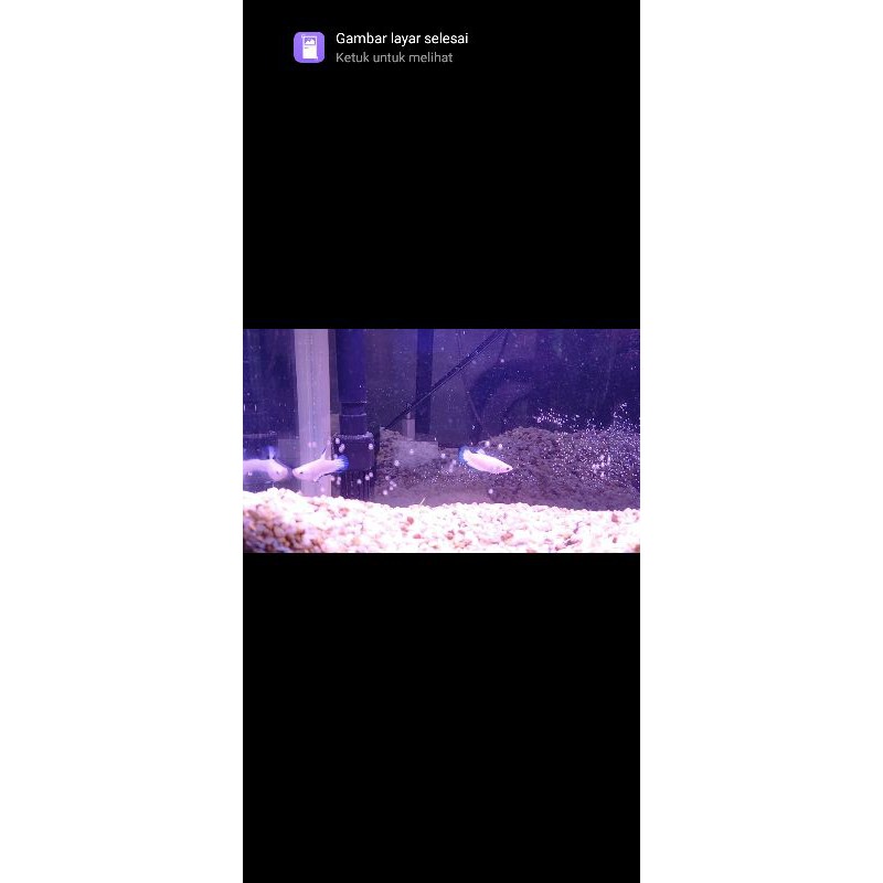 Blue Rim Line Thailand