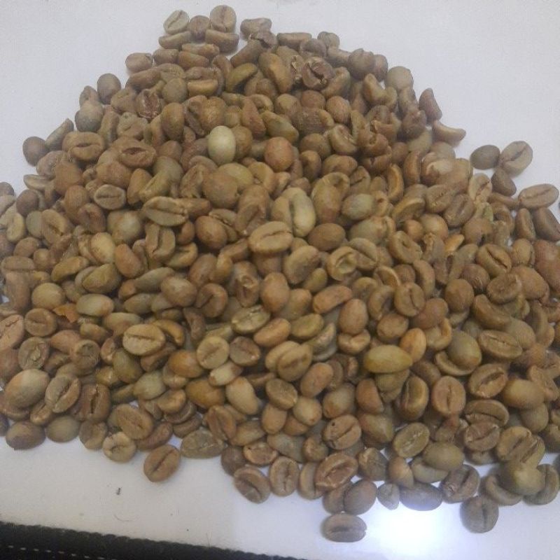 

kopi robusta temanggung