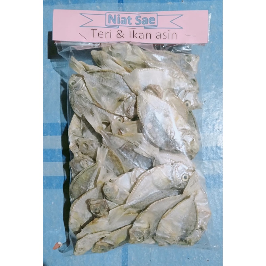 

Ikan asin PATEK dalam kemasan 250g.