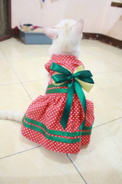 Dress red polkadot stroberry lucu untuk kucing dan anjing size S M L XL