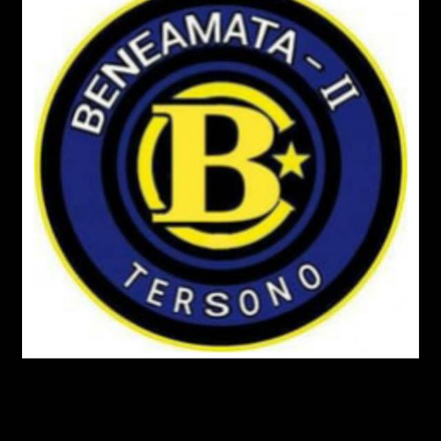 LCD NOKIA C3 ORIGINAL