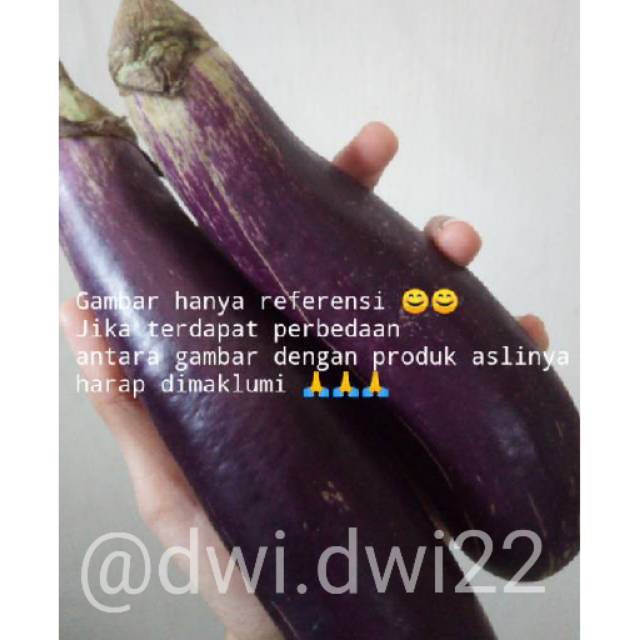 

ANMART | 500gr Terong Ungu | Sayur Online | Sayuran Segar