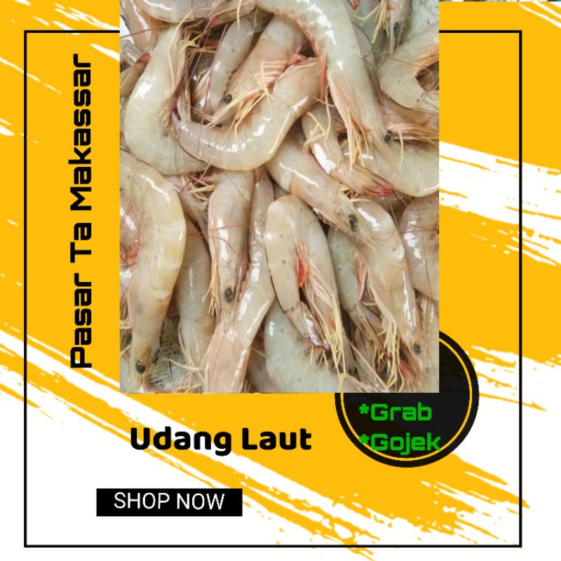 

500 gram Udang Laut order sebelum jam 6 pagi stock cepat habis