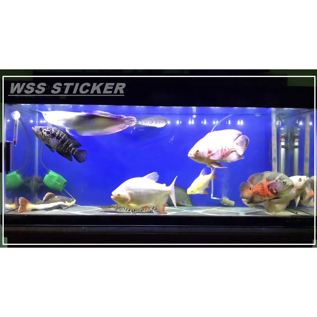background aquarium Stiker skotlet background aquarium
