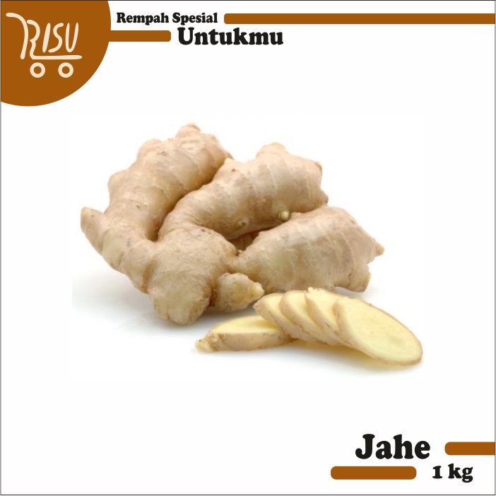 

Jahe Putih Segar Murah 1 kg Ginger Rempah Rempahan Berkualitas