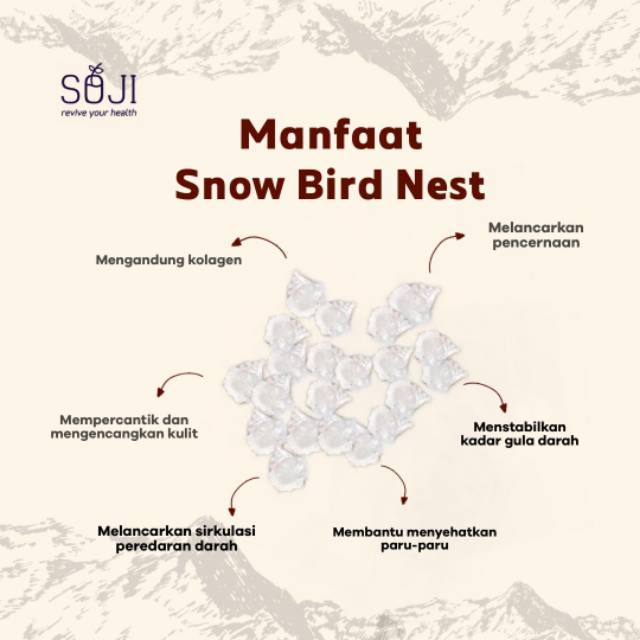 

Snow bird Nest 50gr