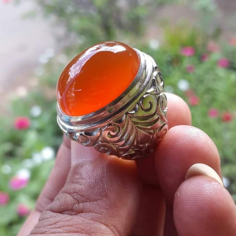 

calsidon orege mantul