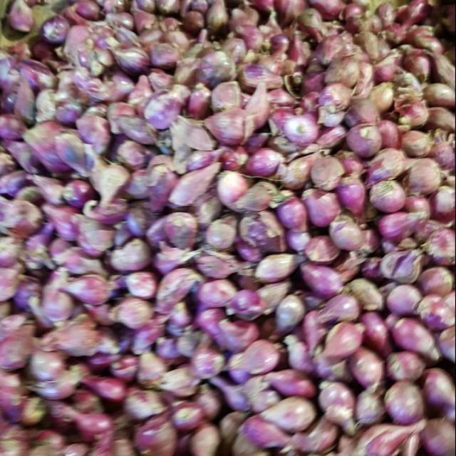 

Bawang merah ,berat 500 gram