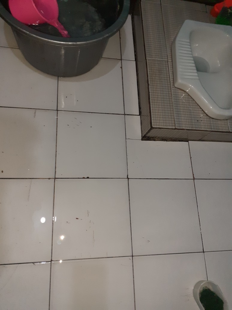 Agios 250ml Pembersih Toilet Kerak Keramik Porselen Kamar Mandi - Ampuh Bersihkan Noda Dan Kerak