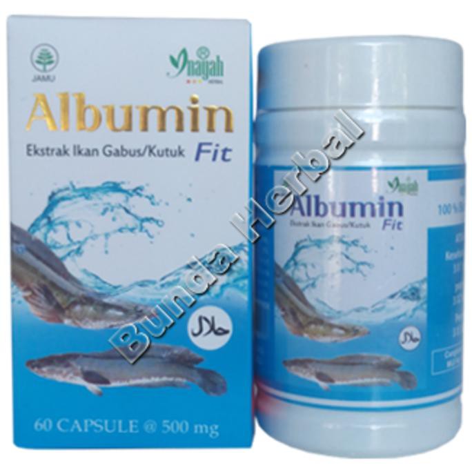 

Terlaris Albumin Albuminfit Ekstrak Ikan Gabus Kutuk Inayah Promo Murah