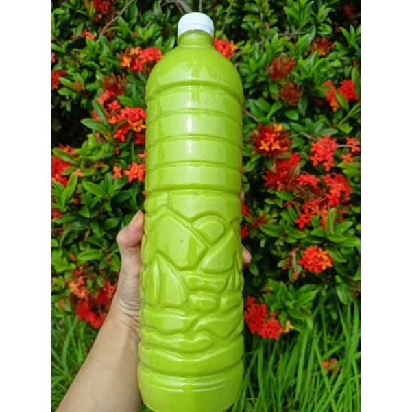 

Jus Buah Alpukat 1500ml alpokat avocado