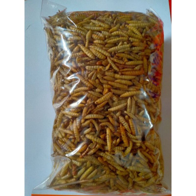 Manggot Bsf Manggot Kering Pakan Ikan Predator Louhan Channa Arwana 100gr