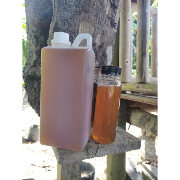 

Madu kelulut Itama Asli Kalimantan