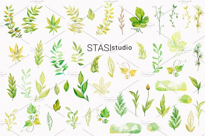 Watercolor Floral Elements - JPEG Ultra HD