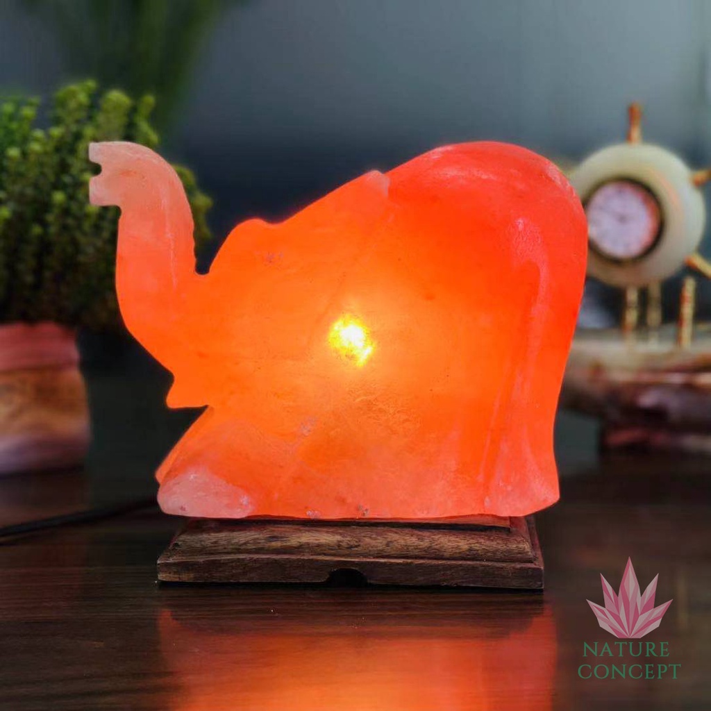 Himalayan Salt Lamp Lampu Kristal Garam Himalaya Unique Shape TERLENGKAP