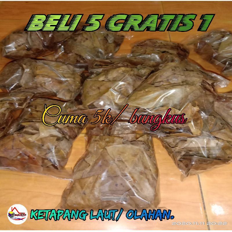 

Daun Ketapang Laut/ Olahan, BELI 5 GRATIS 1