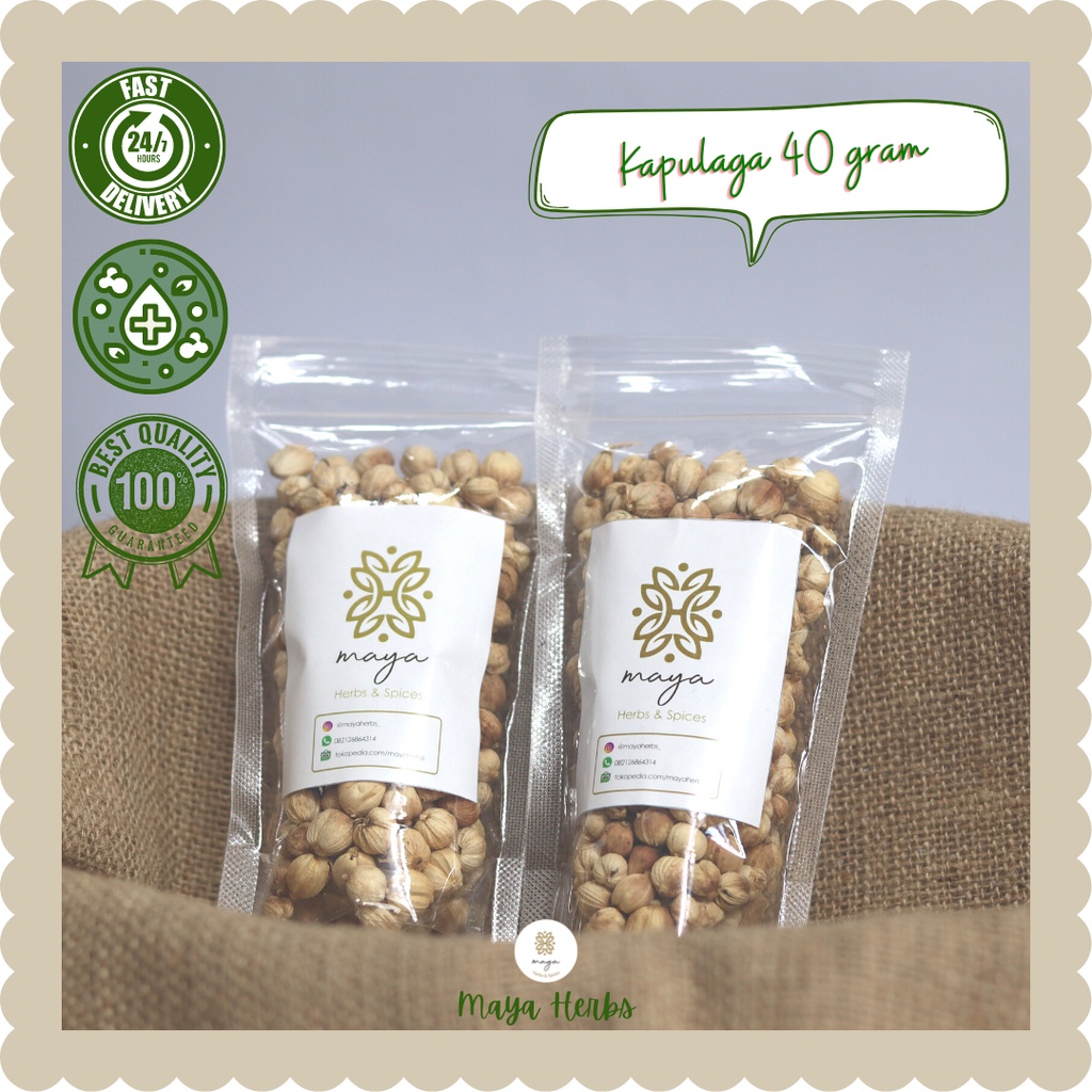 

Kapulaga Kering 40 gram ( Kapol / Amomum Compactum )