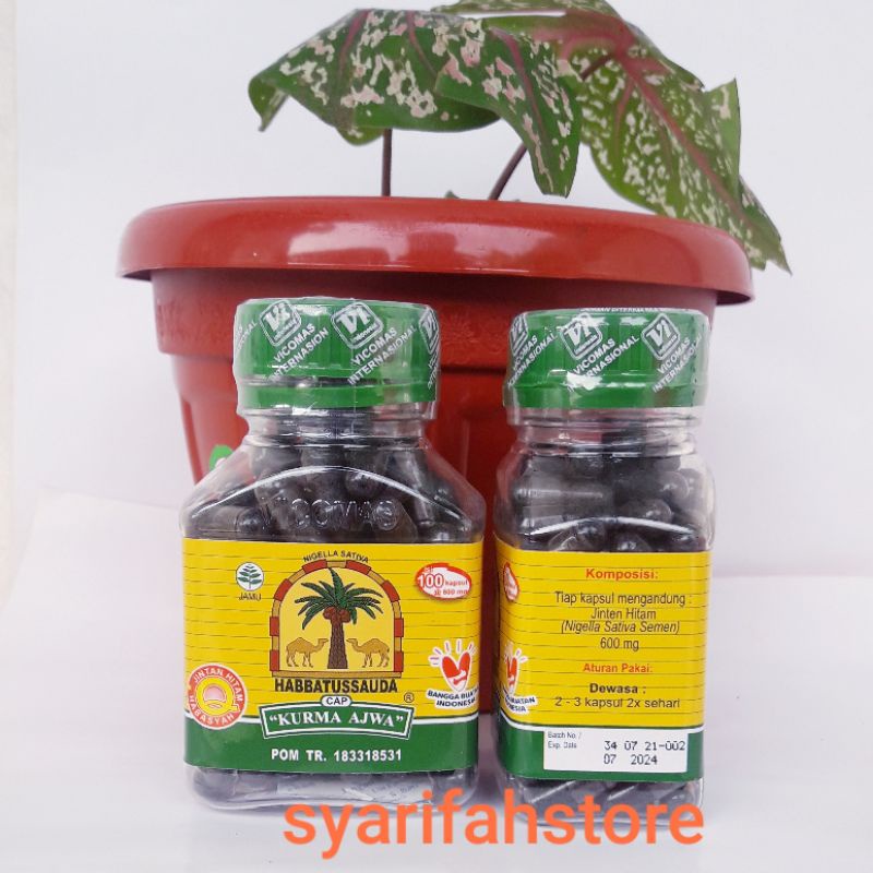 

Habbatussauda Cap Kurma Ajwa 100 Kapsul / Habbats Ajwa Untuk Suplemen Dan Meningkatkan Imunitas Tubuh