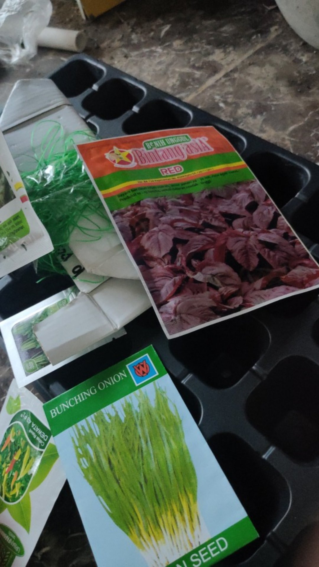Tray Semai 32 Lubang