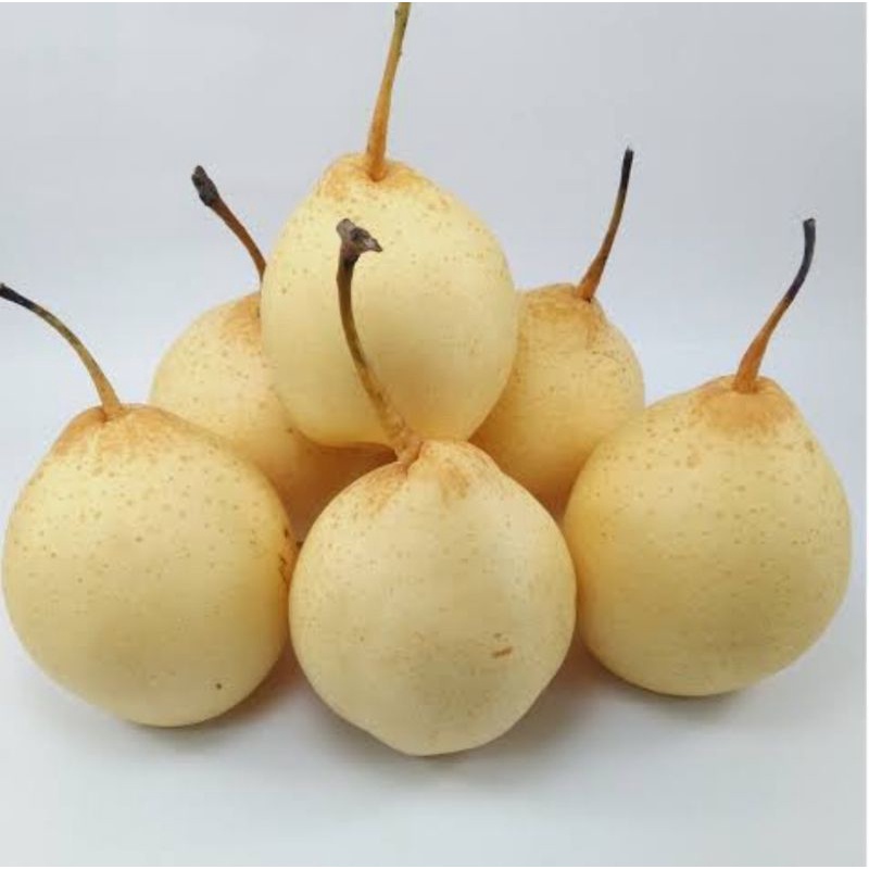 

Pear yaklie putih