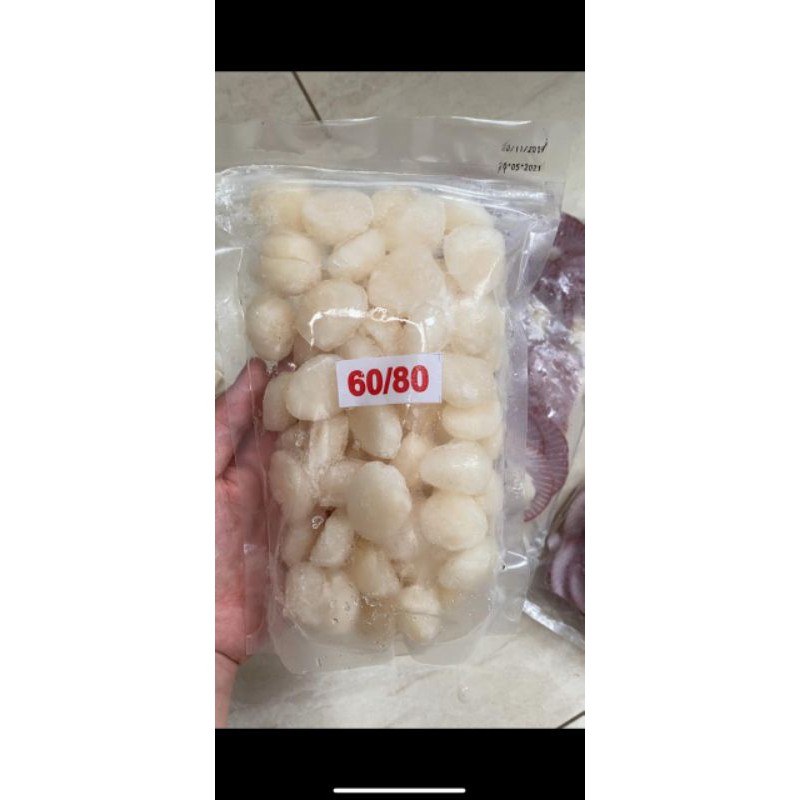 

scallop kupas 500gr/pack
