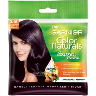  Garnier  color cat  rambut  sachet model shampoo  Shopee 