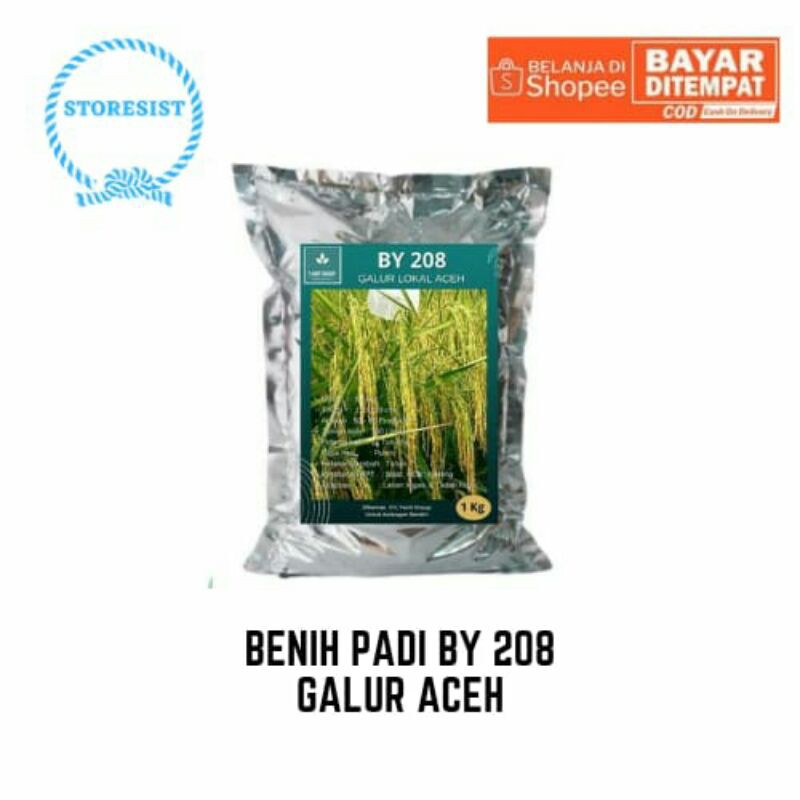 Benih Padi BY 208 Galur Aceh