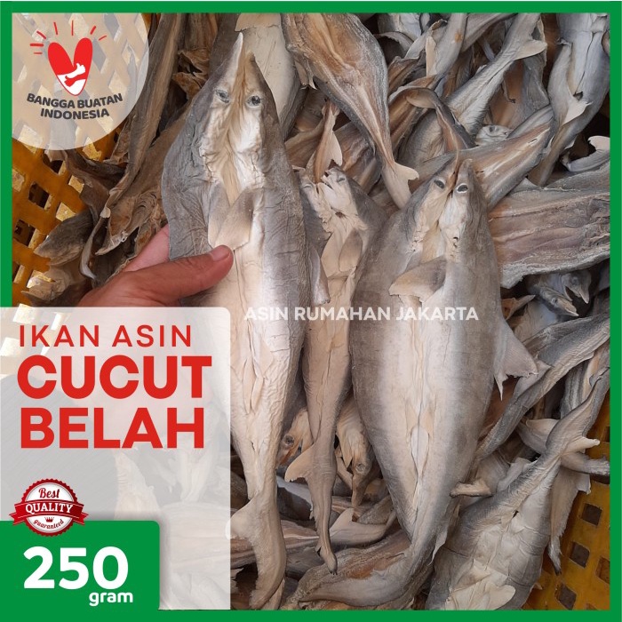 

PROMO GROSIR Ikan Asin Cucut Belah 250 Gram / Ikan Cucut Belah Asin