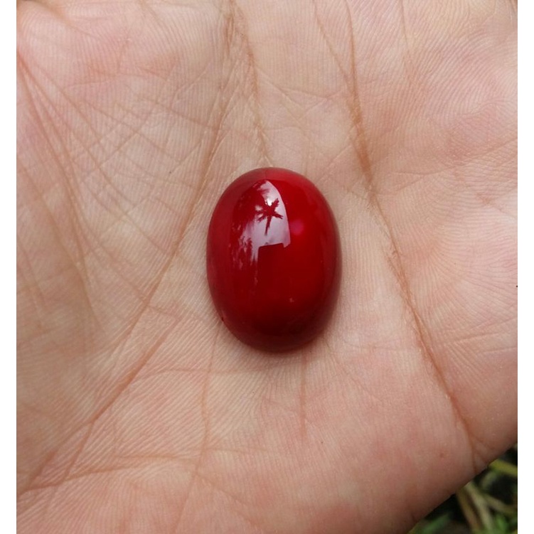 batu rubah merah oryginal banyuwangi