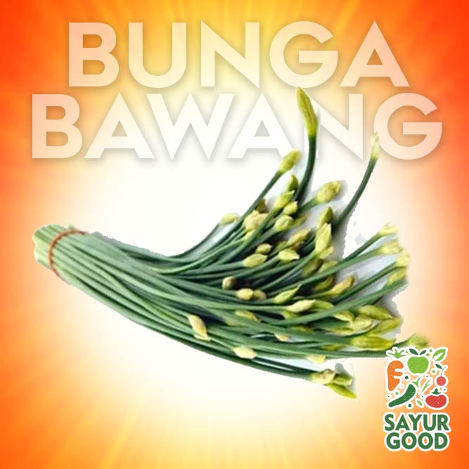 

Bunga Bawang / Kembang Bawang / Ikat (Sayur Segar)