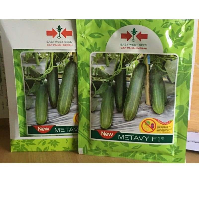 Benih Timun New Metavy F1 800 butir