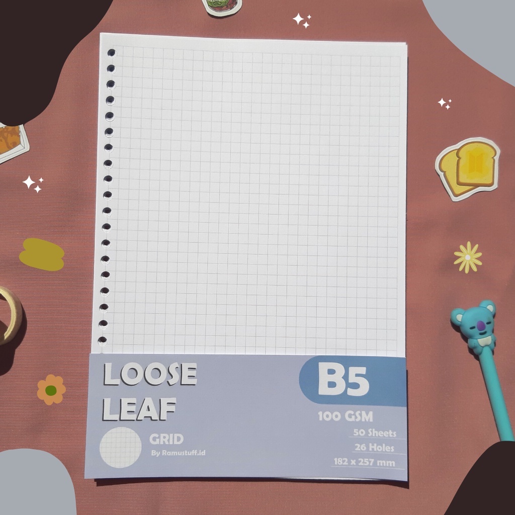 

B5 LOOSE LEAF 100 GSM GRID