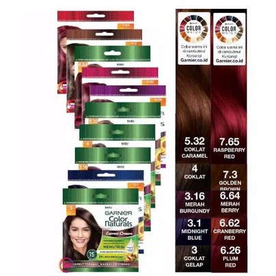 ^ KYRA ^ GARNIER Semir Rambut Express Hair Color Naturals Tanpa Reaksi Amonia - Kemasan Sachet